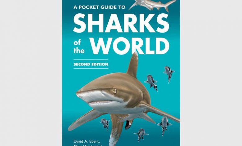 APocketguidetoShark_29670