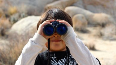 binoculars-100590_960_720