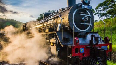 37mdtrain1_65315