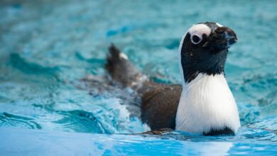 272981996_3736408849817694_9141260512724966294_n