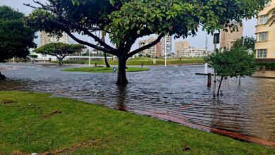 332EC3A9-A07E-4ECA-87EC-9CF2405961BB