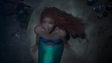 Ariel