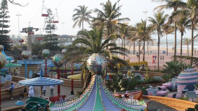 IMG_0013 2.0