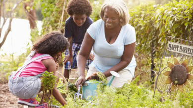 5 Fruit and vegetables for children to grow