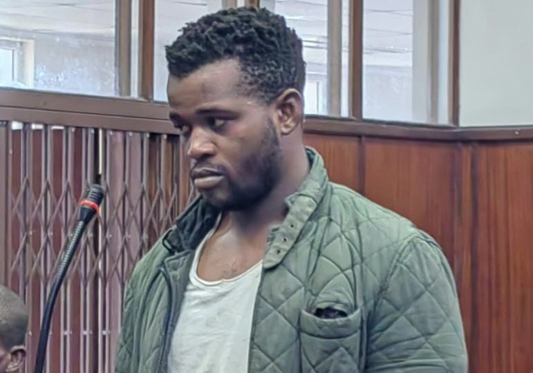 Truck driver involved in uMhlanga crash makes first court appearance ...