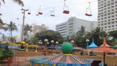 IMG_1350 (Copy)