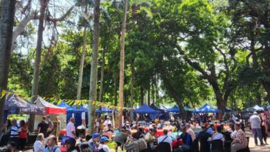 Musgrave Market