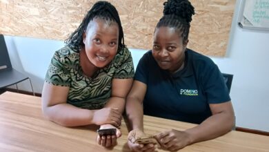 Domino’s ECD programme leader Zanele Nzimande and team member, Happiness Zulu, are thrilled at how the GROW management app is empowering ECD centre owners and educators.