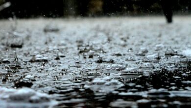rain water