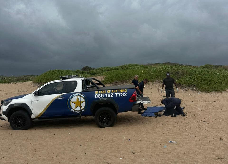 Investigation into human remains washed up on Virginia Beach