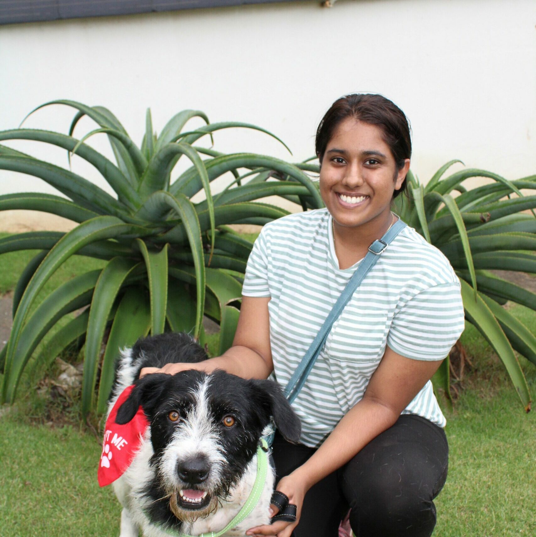 Support doggy adoption day in Durban North