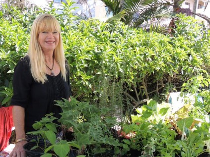 Jenny Middleton, at her organic herb stall.