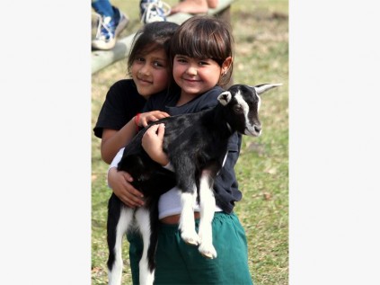 Izotsha grade R pupils Tashmika Ashookmar (left) and Chloë Alborough petting the farm animals at Fiddlewood Farm.