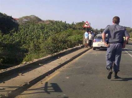 The vehicle smashed through the railings before plunging into the river.