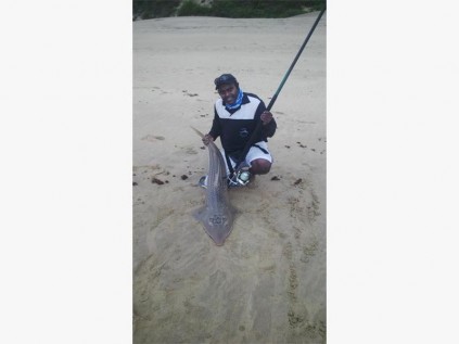 Nathan Appalraju with the 15kg giant guitar fish (sandshark) he caught at St Lucia in poor conditions last weekend.