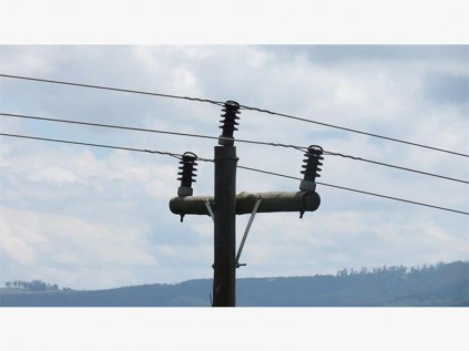 Local vulture expert Mike Neethling points out that it does not seem possible for a large bird to land on the cross pole of this type of power line without touching a live wire.