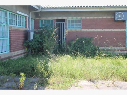 The door cannot be used because of the long grass blocking the entry.