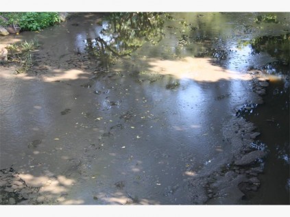  Raw sewage floating down the Nkongweni River which leads to Margate main beach. 