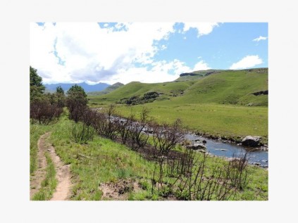 The Pholela River.
