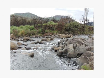 Pholela River in full spate after the rain.