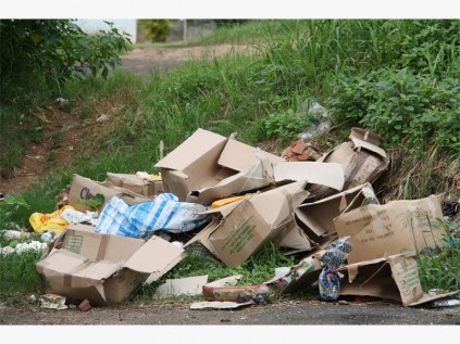 Toppled refuse in Flamingo Avenue. 