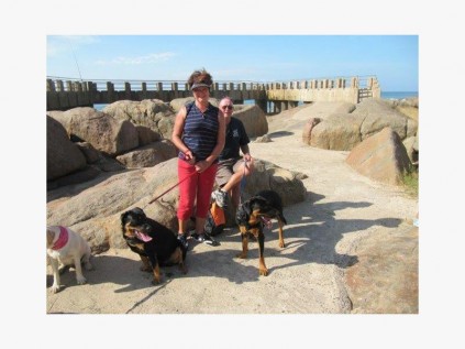 Dogs in Action handlers Sandy and Doug with their dogs Captain and Morgan had a ball at the recent walk.