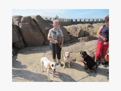 Dogs in Action handler Debbie King with Patch the pitbull who is owned by Yvonne Els and Honey take a break during the recent walk. PHOTO BY YVONNE ELS