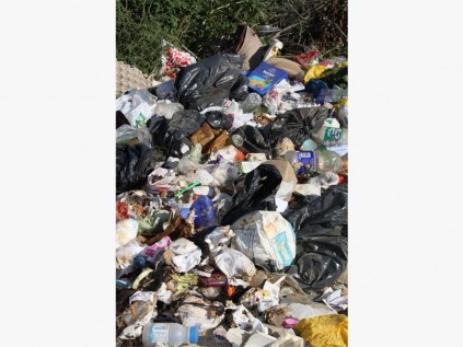  Heaps of litter lies scattered in Lions Grove, near Bhobhoyi.