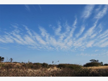Kalahari desert and an early promise of rain.