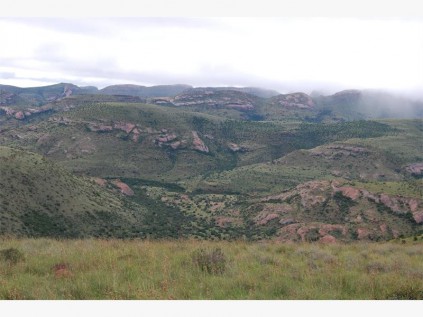 The mountainous terrain of the Mountain Zebra National Park.