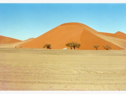Shadowless Sossusvlei dunes in the midday sun.