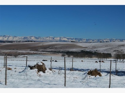 The snow-covered Drakensberg.
