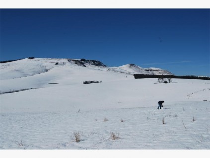 A pure white world.