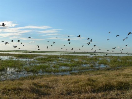 View from our camp at Ihaha, Chobe National Park.