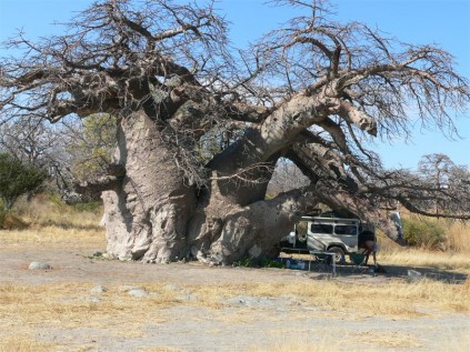 Our Lekhubu Island camping site.
