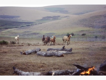 Nyika Plateau, Malawi.