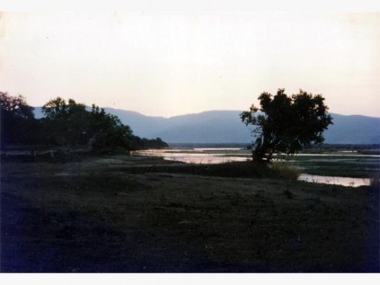 Mana Pools evening.