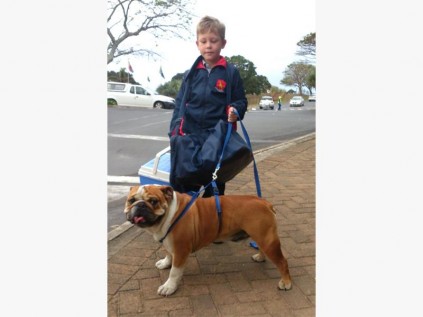 Creston gr 1 pupil Wesley Francis proudly shows off his well-mannered bulldog, Titan.