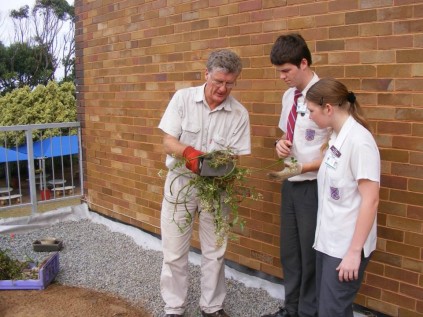 Geoff Nichols shows Sheppie High School gr 12 pupils Mark Surgeon and Nikita Coetzer some of the plants that will be planted in the school's new rooftop garden. 