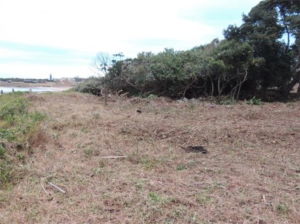 A large section of dune vegetation in Voigt Park, in front of a private house, has been illegally cut down to ground level.