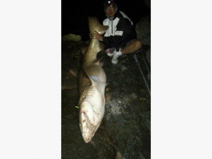 Dean Angrove with a 200kg ragged tooth shark. The fish was duly released to fight another day. SUBMITTED