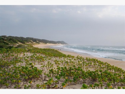 The beach at Ponta Malongane.