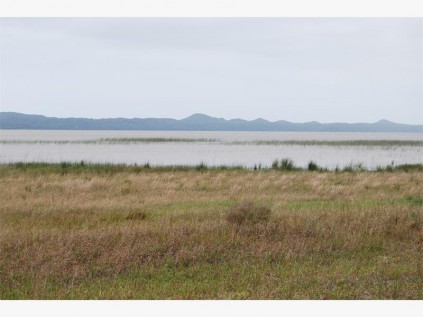Fresh water lake in th Maputo elephant reserve.