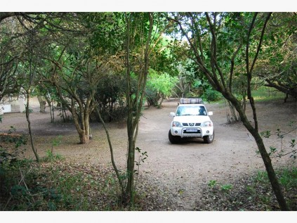 Our large, shady and secluded camp site at Parque de Malongane Holiday Resort.