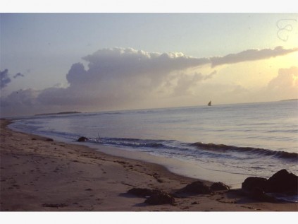 Beach near Dar es Salaam.