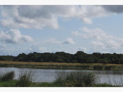 View of the lake.