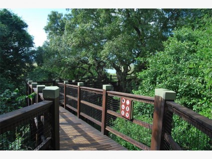 The uMgadankawu boardwalk leading to an attractive hide.