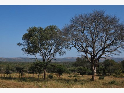 View of the distant Lebombo Mountains