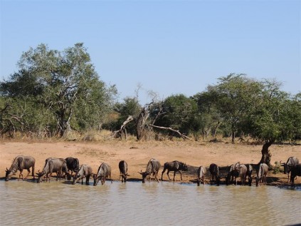 There is always something to see from the hides at the waterholes.