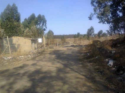 The Harding refuse dump where the charred body was found.
